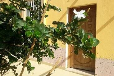 هتل Darna Divers Village