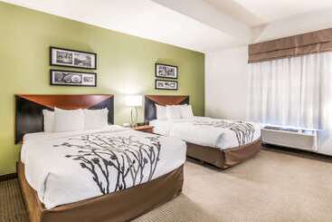 בית מלון כפרי Fort Stockton Inn & Suites