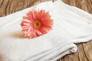 Appartment Barocco Guest House