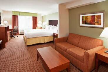 Hotel Holiday Inn Express & Suites Niagara Falls, An Ihg