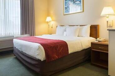 בית מלון כפרי Comfort Suites La Porte