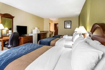 ホテル Quality Inn Dariennorth Brunswick