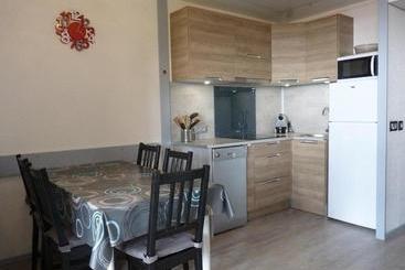Charmant T2 Rénové Avec Balcon Sud Et Vue Pistes Au Cœur De Plagne Bellecôte   Fr 1 351 108