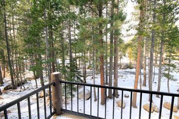 Forest Creek #3, Pet Accepted
