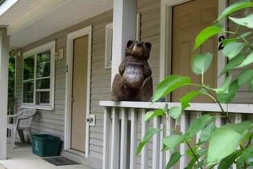 هتل آپارتمان Bear Tree Lodge