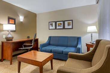 فندق Comfort Suites Near Potomac Mills