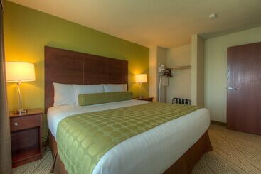 Отель Cobblestone Inn & Suites   Holyoke