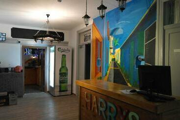 پانسیون Harrys Inn Guesthouse
