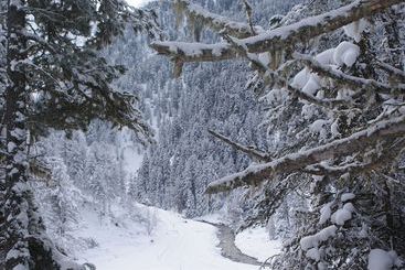 Отель Grieserhof