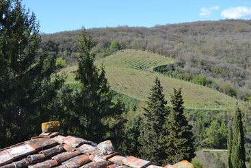 乡村酒店  Borgo Castelvecchi