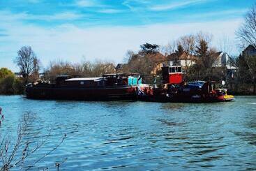 민박 Les Pingouins De La Marne