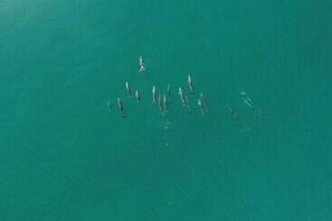 בית מלון כפרי Lennox Beach Resort