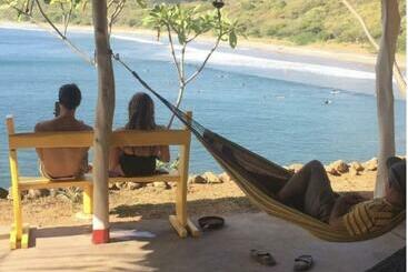 Monkey House Hostel