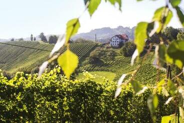 تختخواب و صبحانه Weingut Peter Grill