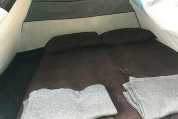 Tusker Tribe Hostel