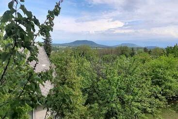 펜션 Aleksa Apartman