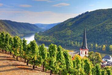 הוסטל Gasthaus Castor