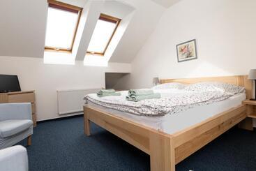 פנסיון Penzion Grado Davle