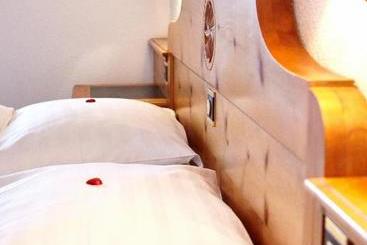Basic Hotel Arosa
