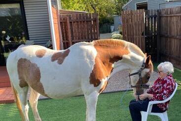 酒店 Farm Stay Maple Cottage At Wilindi Estate