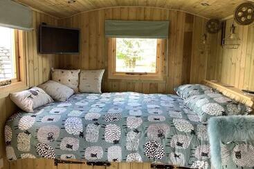 קוטג'' The Shepherds Hut At Hafoty Boeth