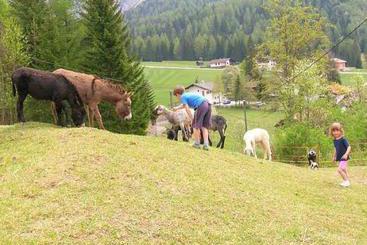 Сельский дом Bauernhof Trueferhof