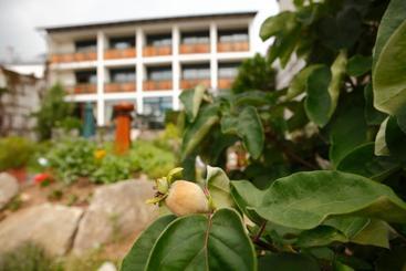 酒店 Bärnsteinhof Gasthof Mit Herz