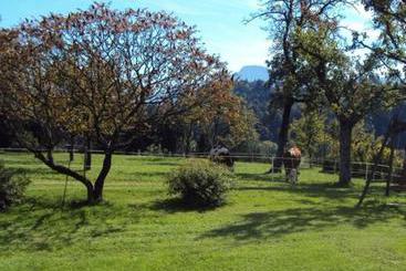 Bauernhof Knoblechner