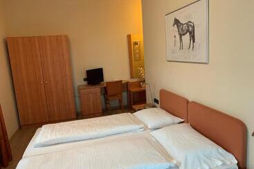 هتل Albergo Cavallino S'rössl