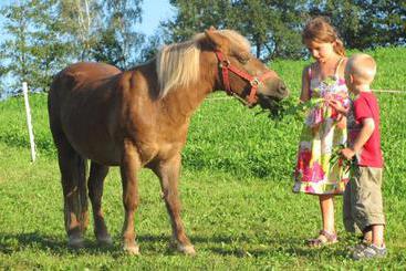 コテージ Bauernhof Loeschgruber