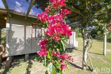 پانسیون Vieja Hacienda