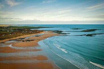 茅舍 Oystercatcher