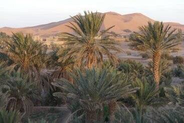 Pensão Auberge Les Roches