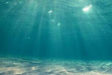 پانسیون Mcmill House