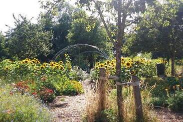 تختخواب و صبحانه De Geheime Tuin   Huisje In  T Groen