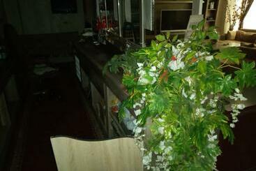 ベッドアンドブレックファースト Almin Otel