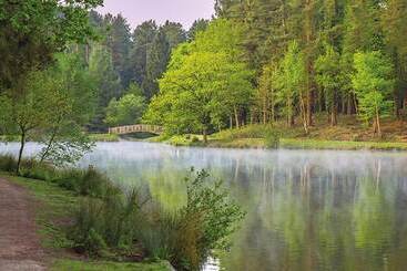 관광객 아파트 Rabbits Warren, A 2 Bed Holiday Let In The Fod