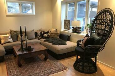 ツーリストアパートメント Stort Hus I Porsgrunn Sentrum Med Gangavstand Til Alt & Gratis Parkering Til Flere Biler