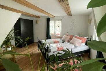 관광객 아파트 Schwarzwald   Ferienhaus Luisa Für 4 6 Personen 125m