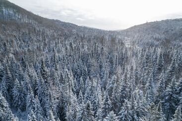 דירות לתיירים Les Petits Chalets