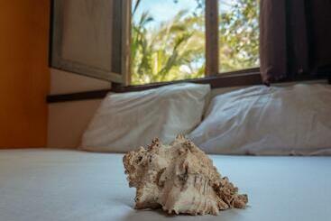 ユースホステル Uvita River Guesthouse