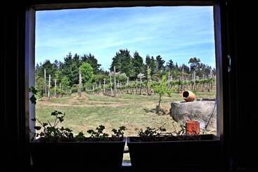 קוטג'' H&ap Rural Merrutxu