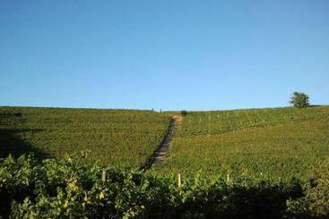 Gran Collina