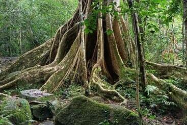 تختخواب و صبحانه Pakchong Hostel & Wildlife Tour