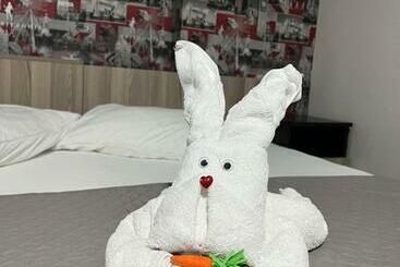 بنسيون Klara House