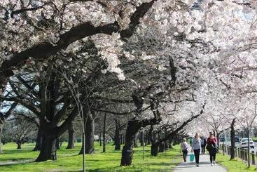 هاستل Chester St Backpackers