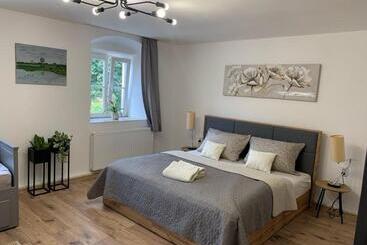公寓式酒店  Apartmány černý Kohout