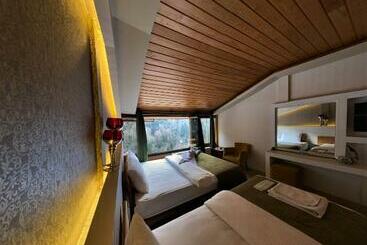 בית מלון כפרי Ayder Wooden Rooms