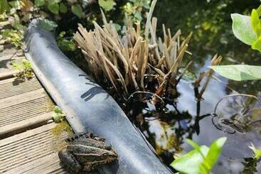 דירות לתיירים La Maison Bleue De Husseau Ancienne Ferme Semi Troglodytique 18e Siècle