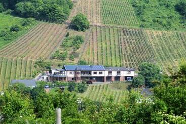 ツーリストアパートメント Urlaubsweingut Zecherhof